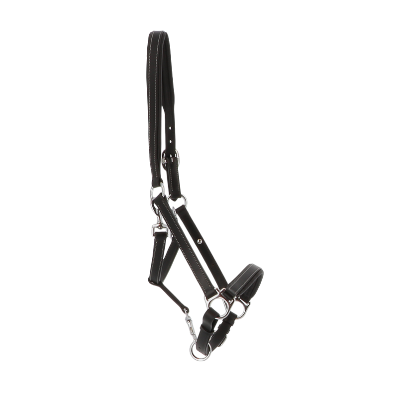 Norton - Licol cuir grooming noir | - Ohlala