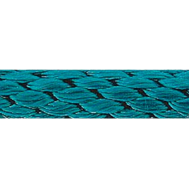 Norton - Longe d'attache 2 m turquoise | - Ohlala