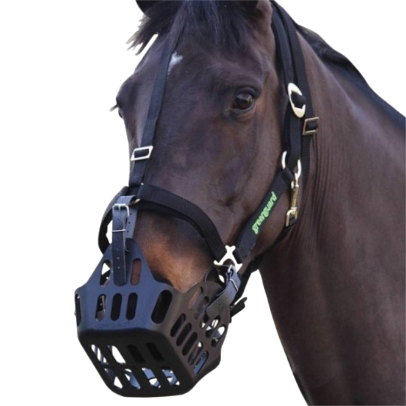 Greenguard - Pack panier et licol thérapeutique bleu | - Ohlala