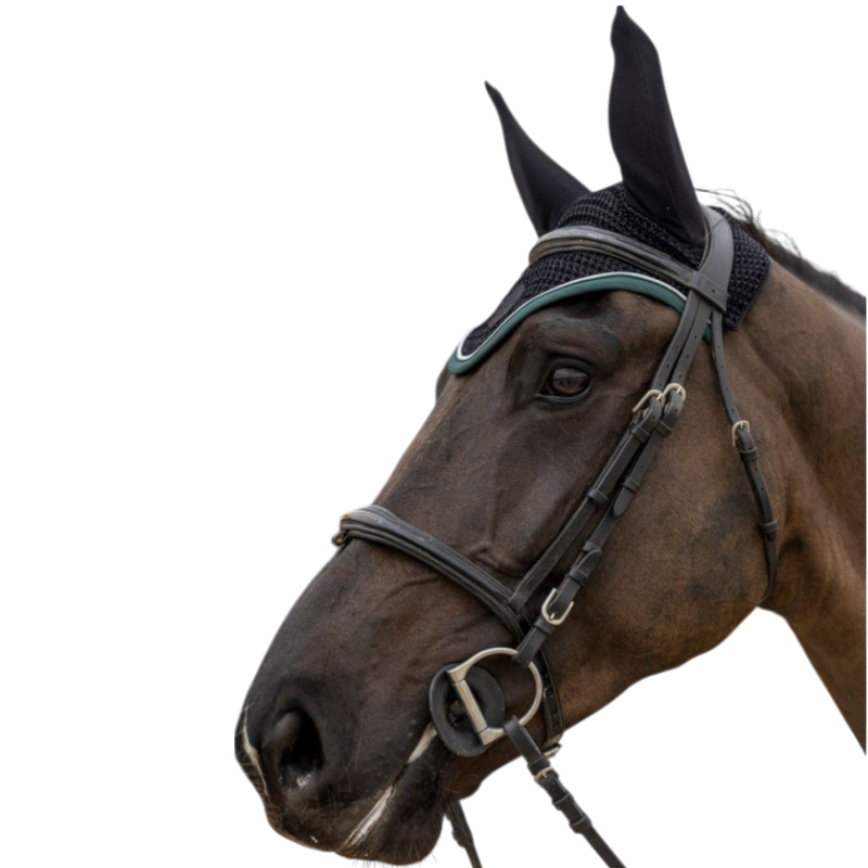 Pro Confort - Bonnet pour chevaux Dynax noir/ jungle green | - Ohlala