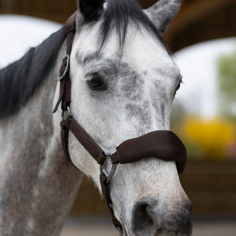 Pro Confort - Ensemble licol ergonomique et longe Dorai en mesh marron | - Ohlala