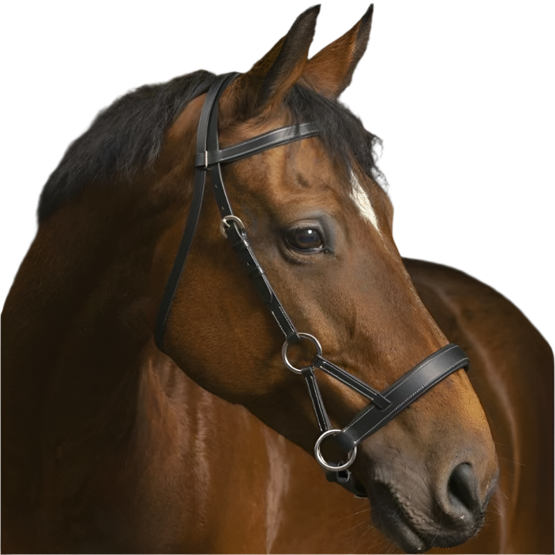 Norton - Bridon Side pull "PRO" confort noir | - Ohlala