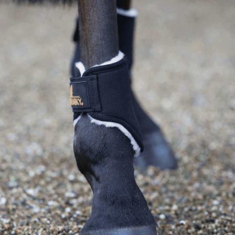 Kentucky Horsewear - Protège-boulets Solimbra noir | - Ohlala