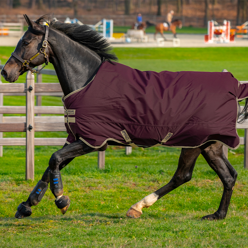 Horseware - Couverture d'extérieur Amigo Hero Ripstop figue/ marine/ beige 0g | - Ohlala