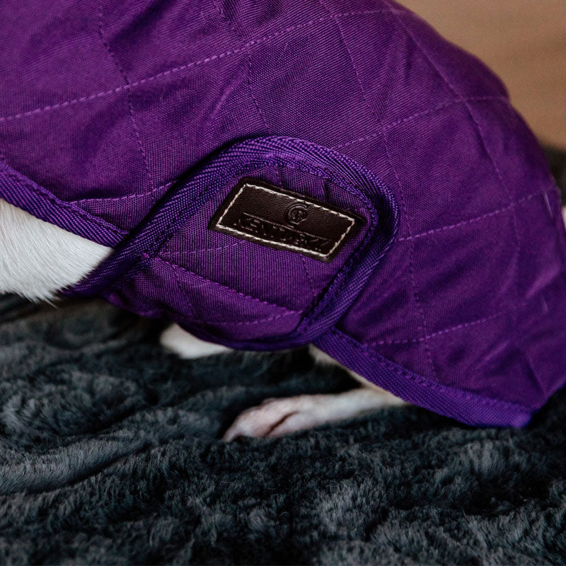 Kentucky Dogwear - Manteau pour chiens Original Royal violet | - Ohlala