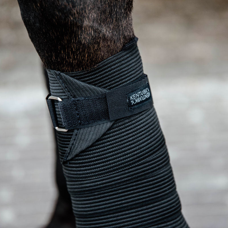 Kentucky Horsewear - Bandes de travail élastiques noir (x2) | - Ohlala