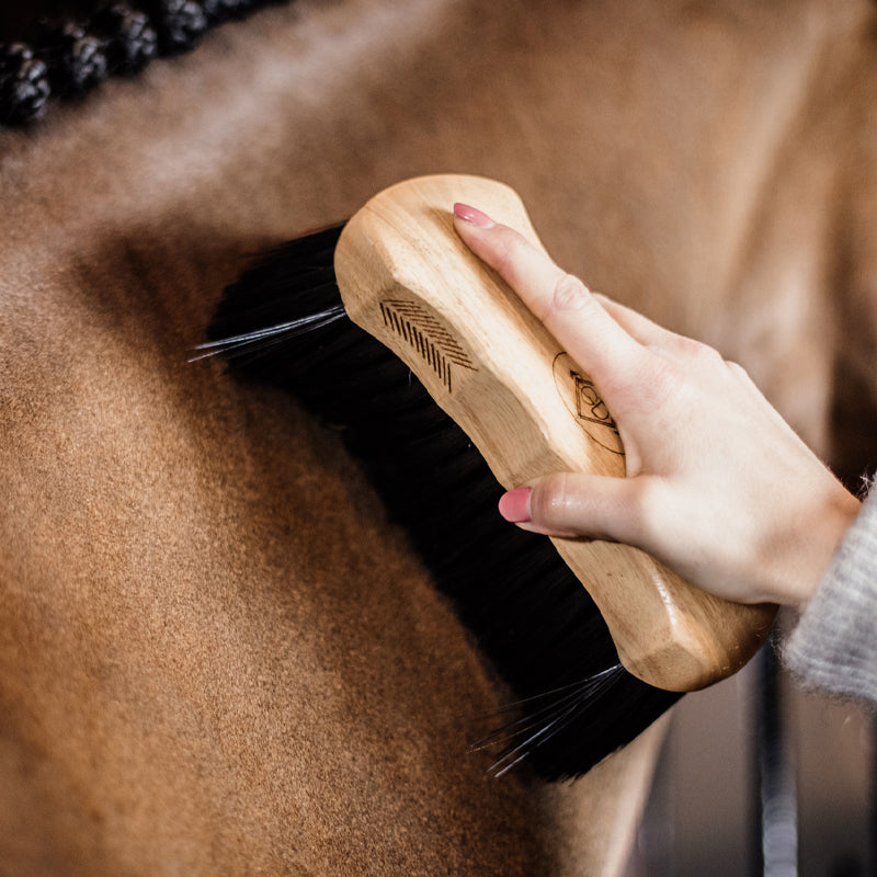 Grooming Deluxe - Bouchon à poils durs | - Ohlala