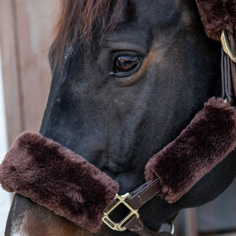 Kentucky Horsewear - Fourreaux de licol mouton marron 4 pcs | - Ohlala