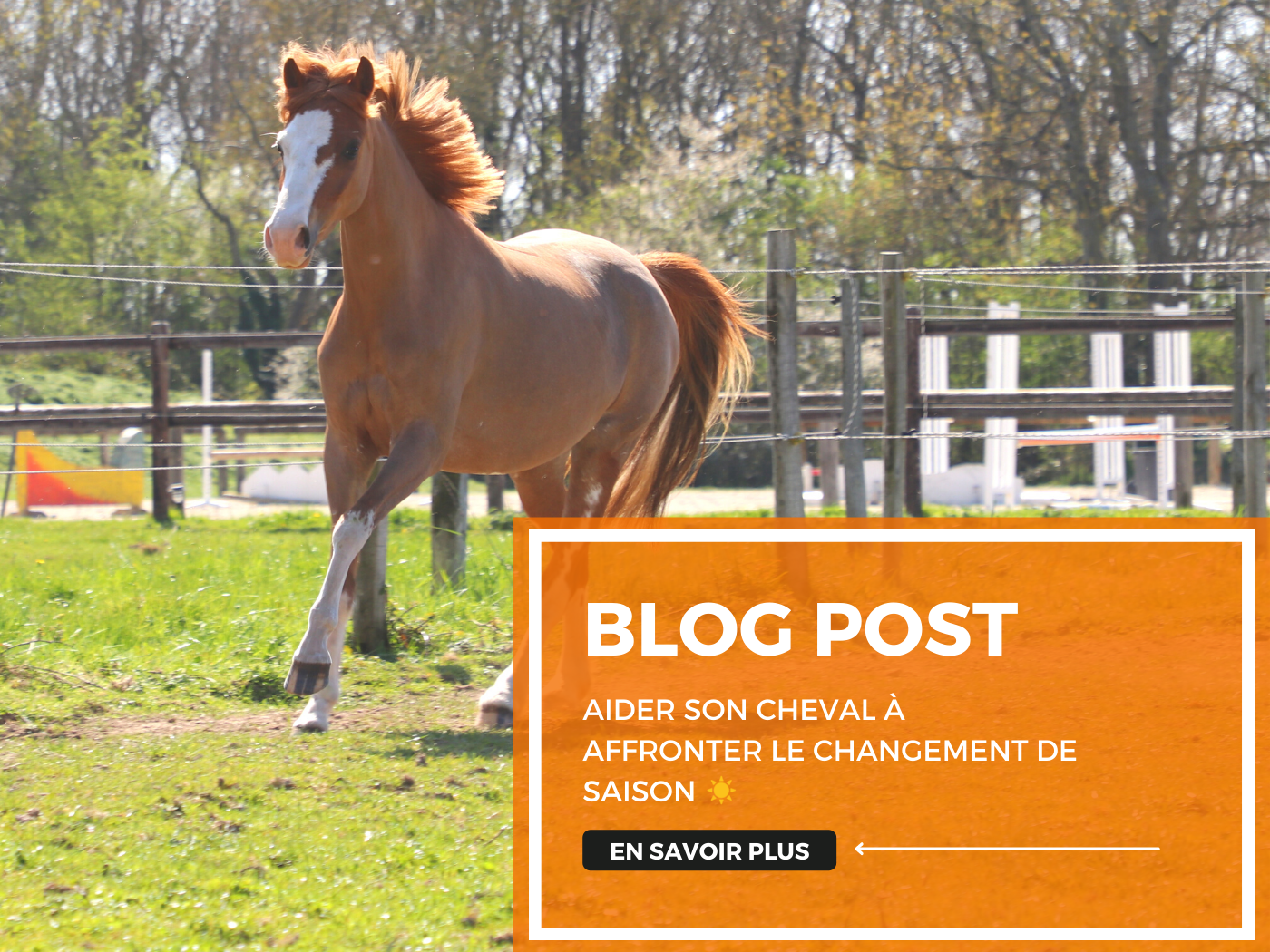 Aider son cheval à affronter le changement de saison ☀️