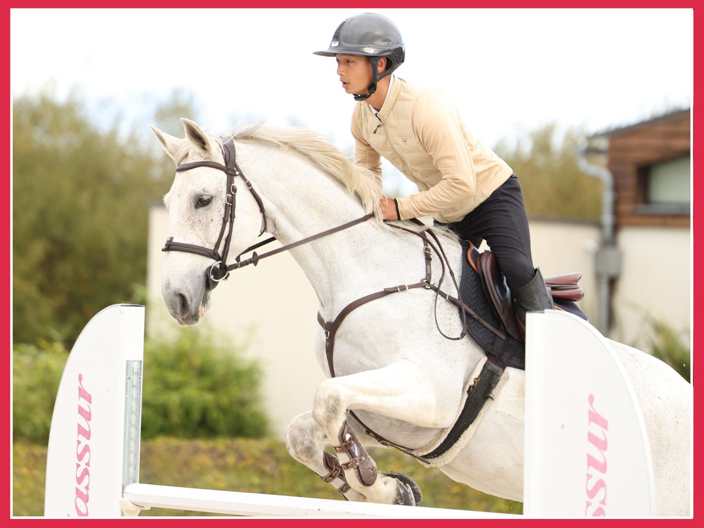 Rectitude du cheval : pourquoi et comment la travailler ?