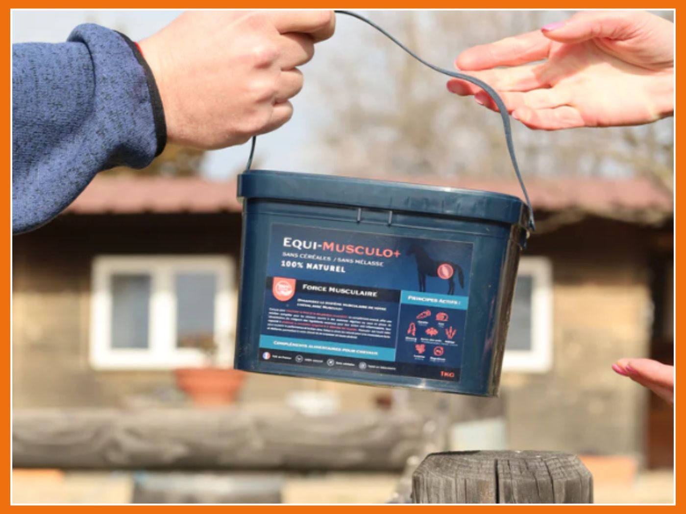 Equimojo : des friandises qui prennent soin de la santé de votre cheval