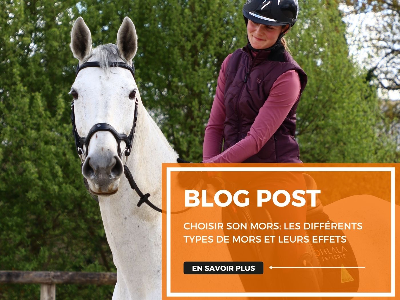 Choisir son mors: Les différents types de mors et leurs effets