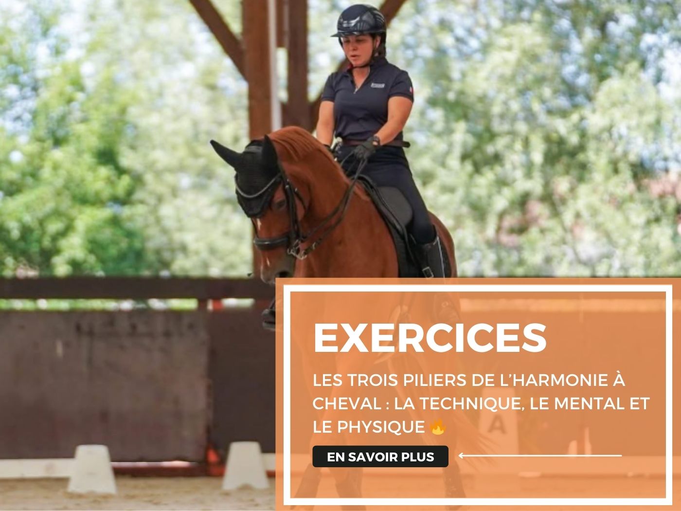 Les trois piliers de l’harmonie à cheval : la technique, le mental et le physique 🔥
