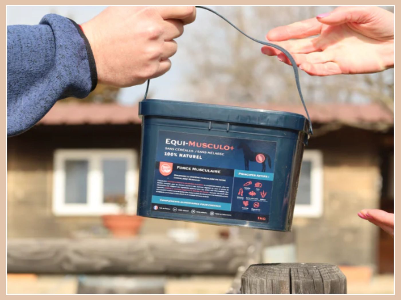 Equimojo : des friandises qui prennent soin de la santé de votre cheval