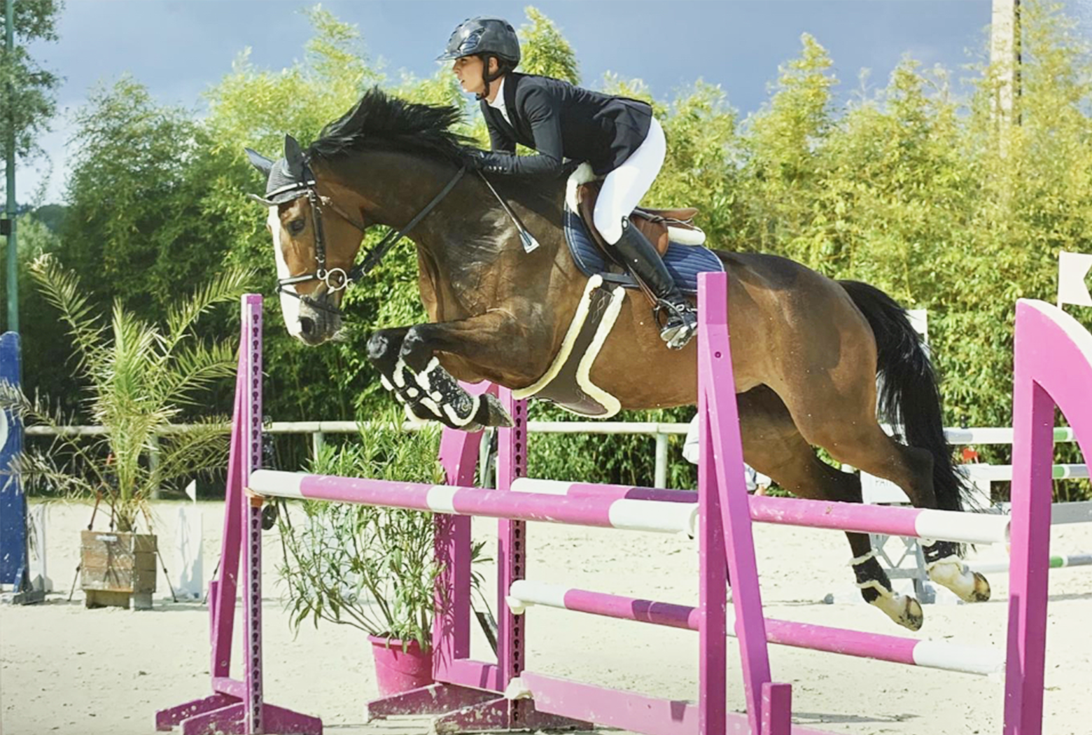 Ecurie Sesame X Charlotte