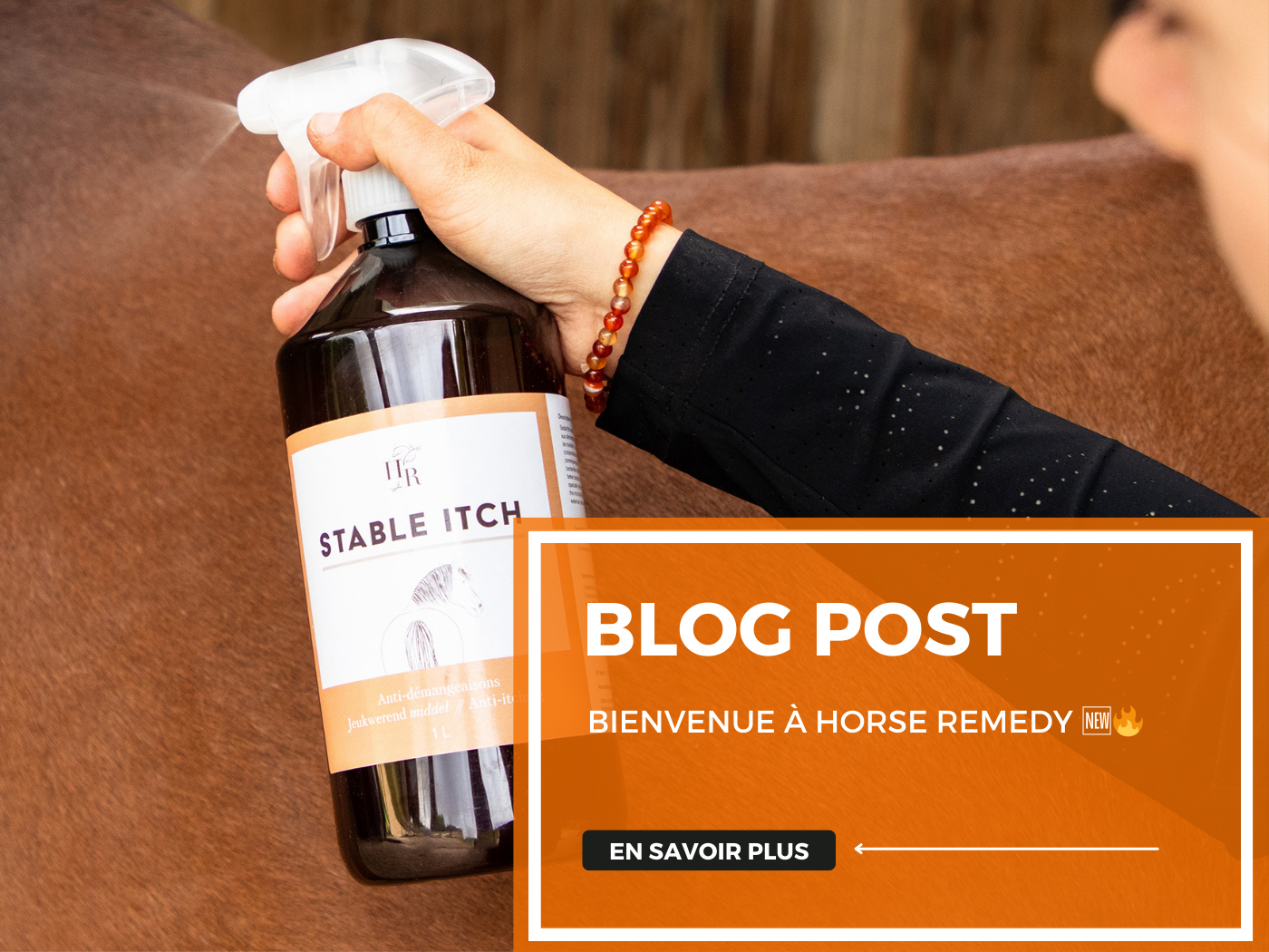 BIENVENUE À HORSE REMEDY 🆕🔥