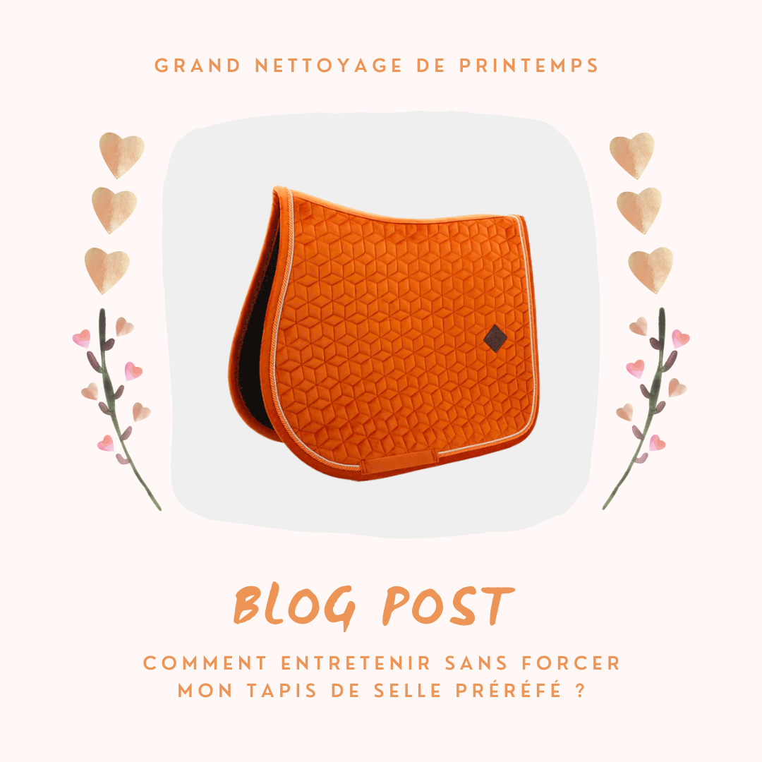 GRAND NETTOYAGE DE PRINTEMPS : MÊME MES TAPIS Y PASSENT 🙈