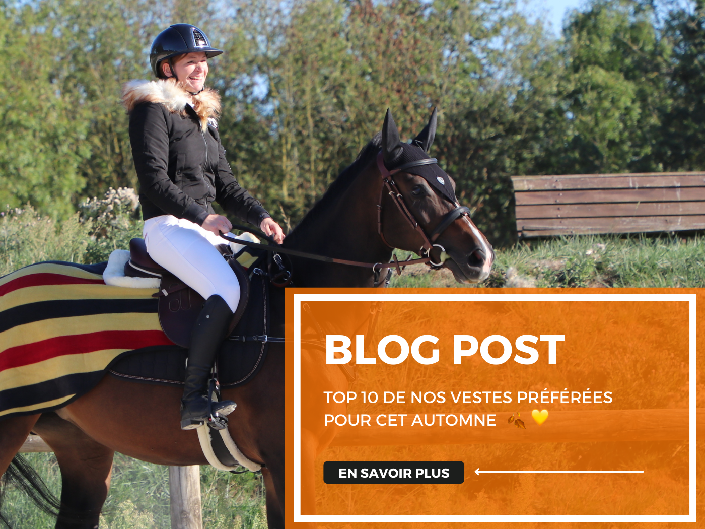 Top 10 de nos vestes préférées pour cet automne 🍂💛