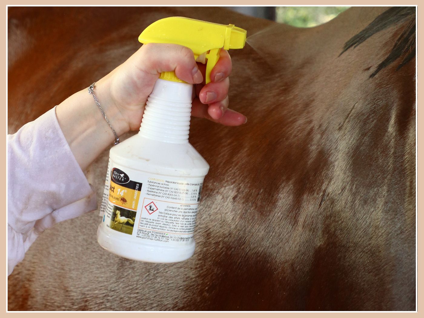 Les indispensables pour le changement de saison 🌸