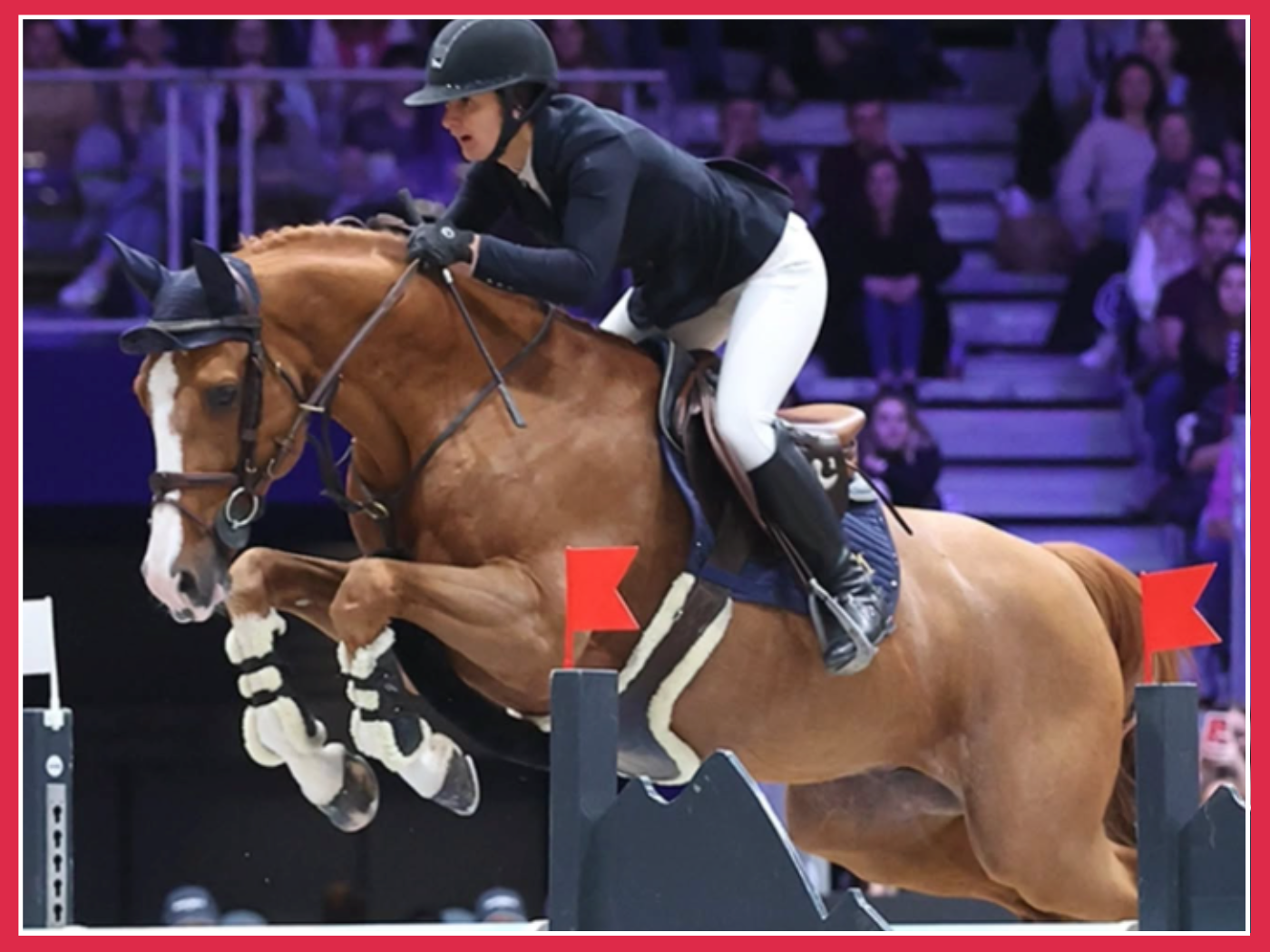 Exercice du cercle à 4 barres : régularité, équilibre et harmonie avec votre cheval