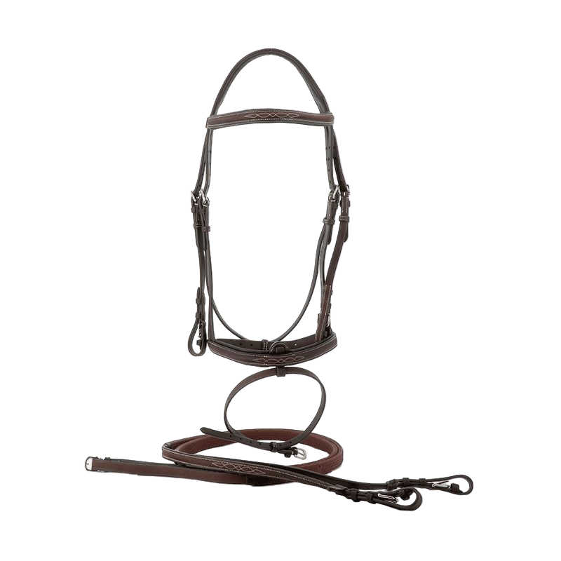 Privilege Equitation – Royan-Zaumzeug kombiniert mit braunen Zügeln