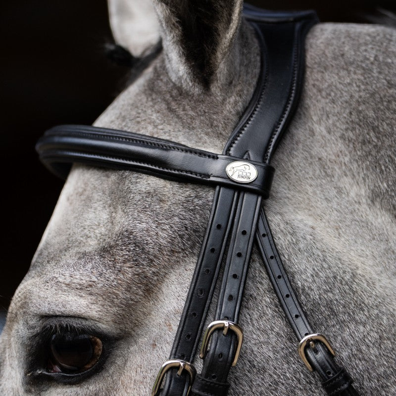 Jump'In - Têtière + rênes Evolution noir