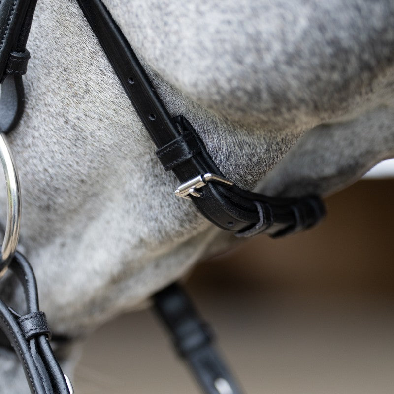 Jump'In - Muserolle croisée Evolution noir