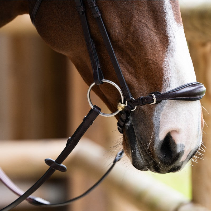 Jump'In - Bridon muserolle allemande Evolution havane