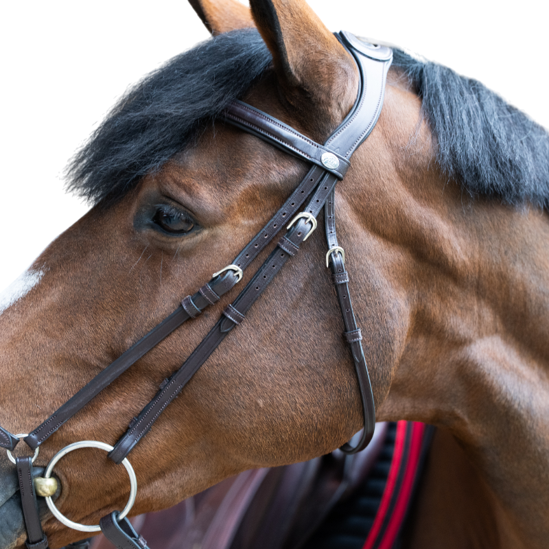 Jump'In - Bridon muserolle allemande Evolution havane