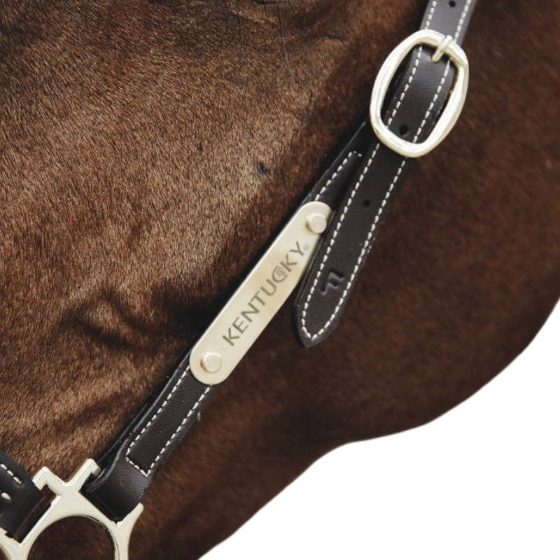 Kentucky Horsewear - Halter Plate