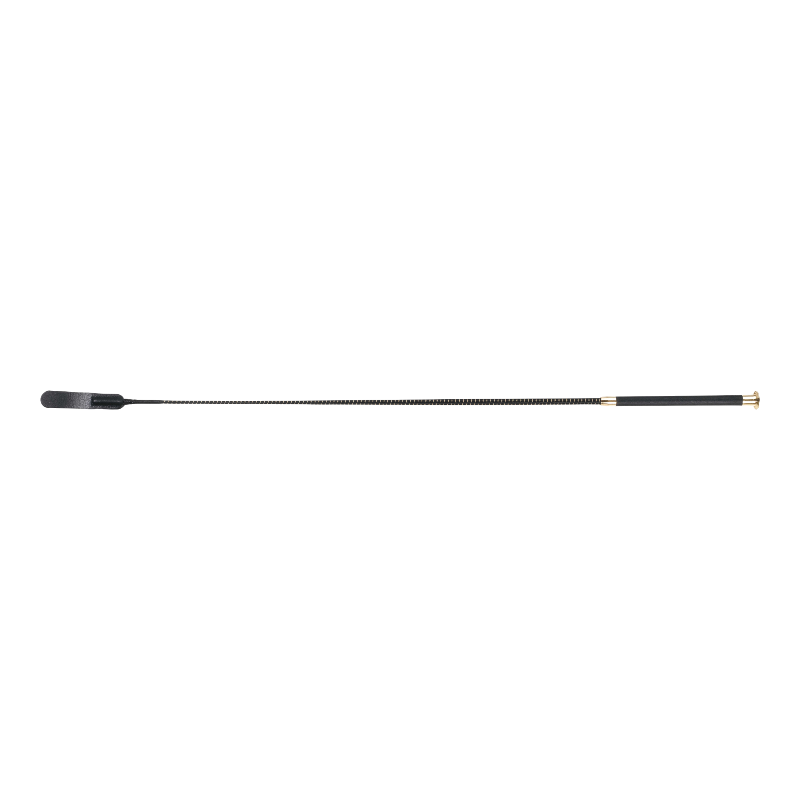 Whip&Go - Cravache de dressage claquette noir