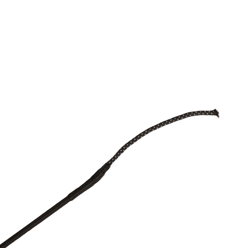 Whip&Go - Cravache de dressage Gel noir