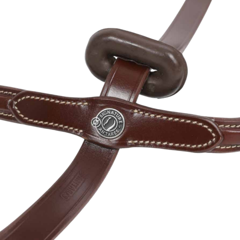 Antarès Sellier - Vaste martingale Handtekening Sport havana 