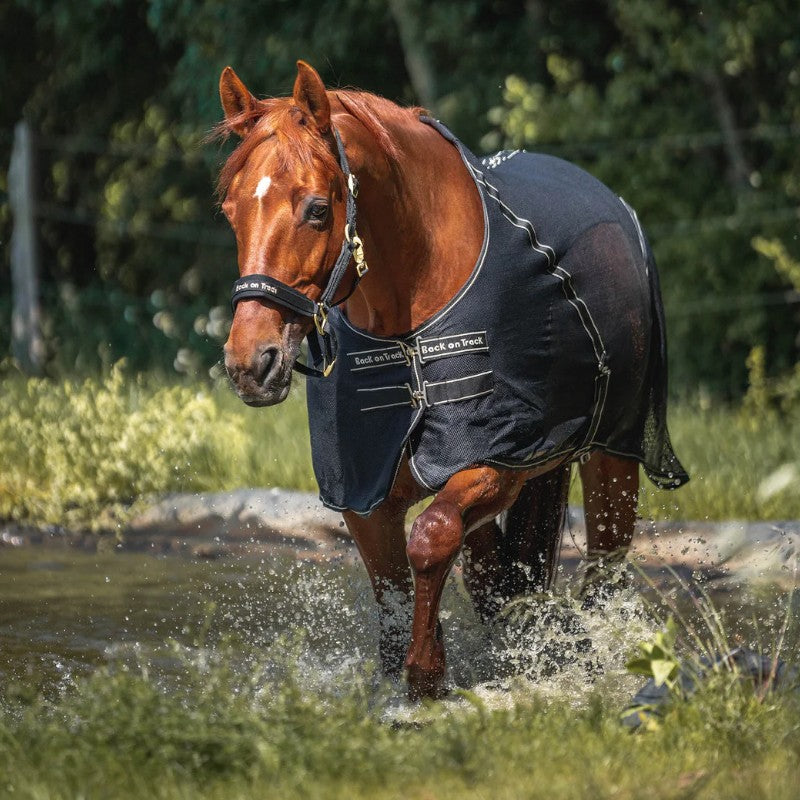 Back On Track - Sienna zwarte netoverhemd 