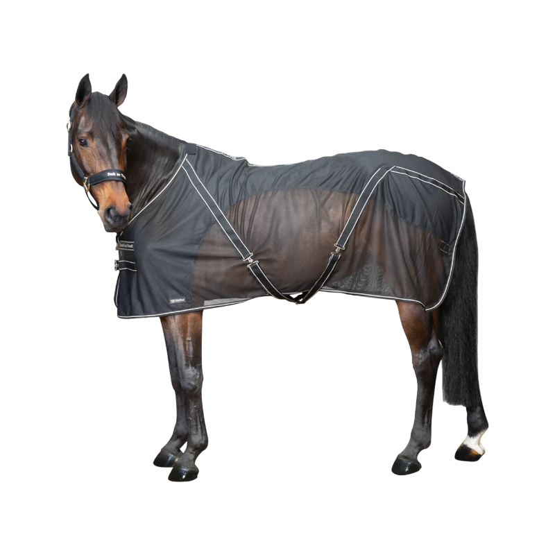 Back On Track - Sienna black mesh shirt 