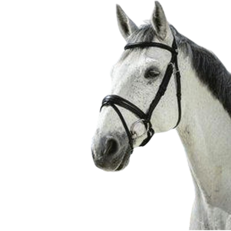 Norton - Pro Soft Bridle