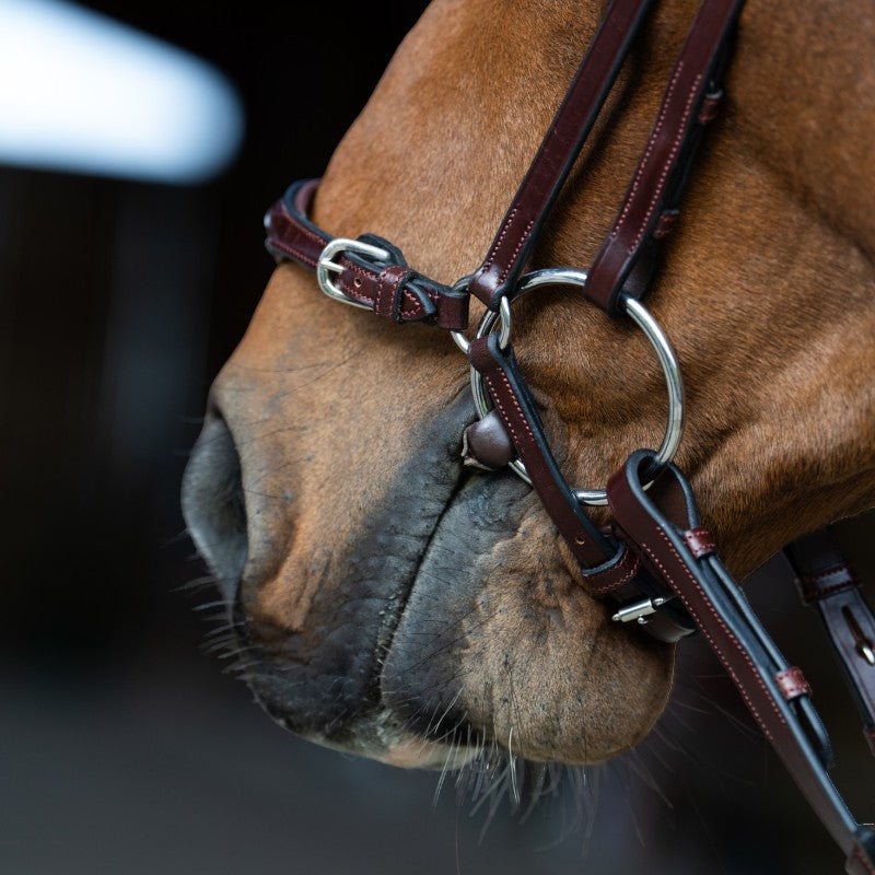 Jump'In - Bridon muserolle allemande Evolution noisette