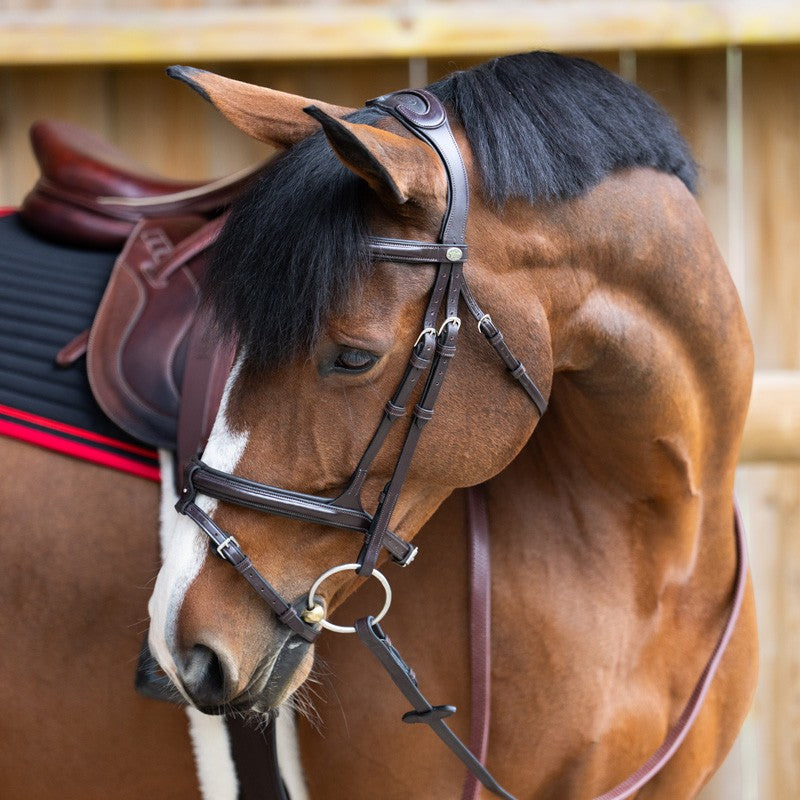 Jump'In - Bridon muserolle combinée Evolution havane