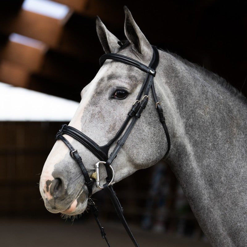 Jump'In - Bridon muserolle combinée Evolution noir