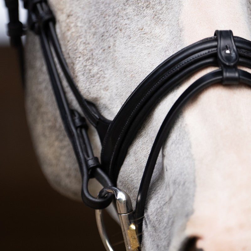 Jump'In - Bridon muserolle combinée Evolution noir