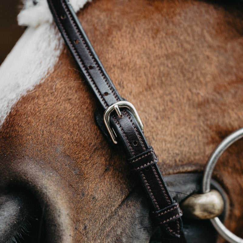 Jump'In - Bridon muserolle croisée Evolution havane