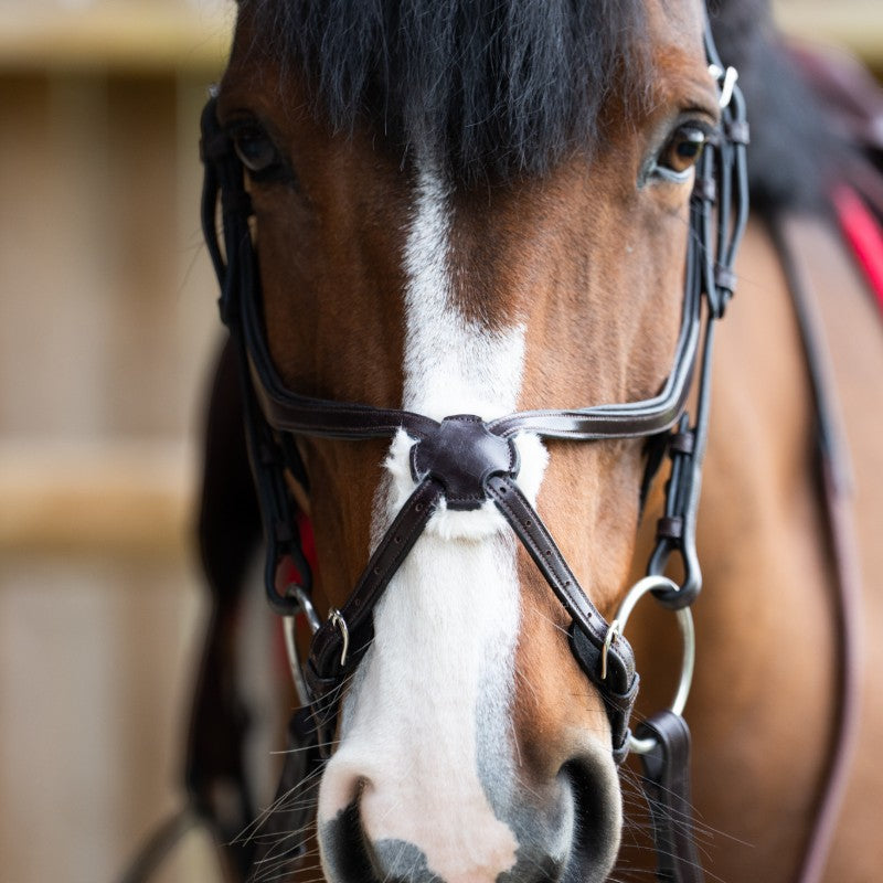 Jump'In - Bridon muserolle croisée Evolution havane