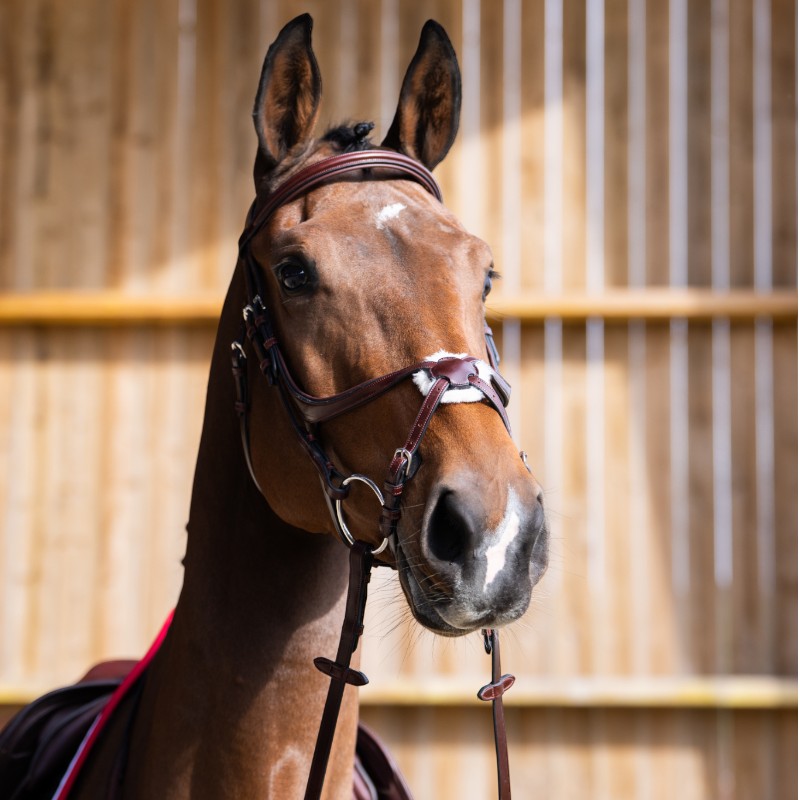 Jump'In - Bridon muserolle croisée Evolution noisette