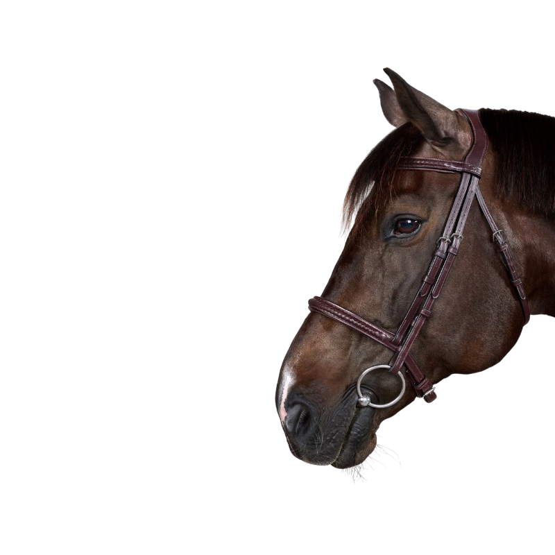 Dyon - Bridon New English Collection brown 