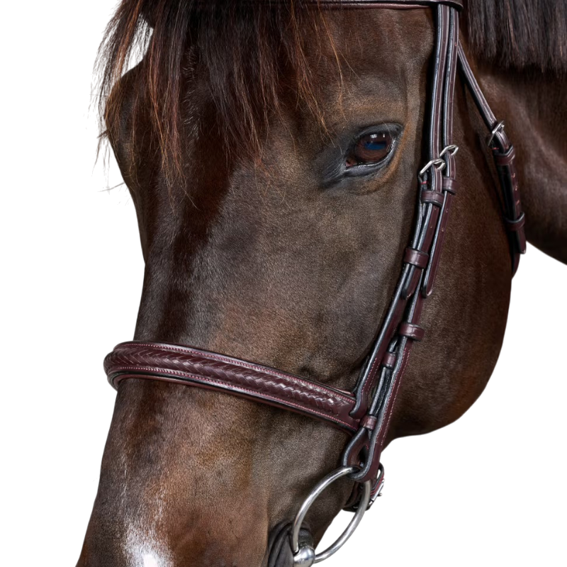 Dyon - Bridon New English Collection brown 