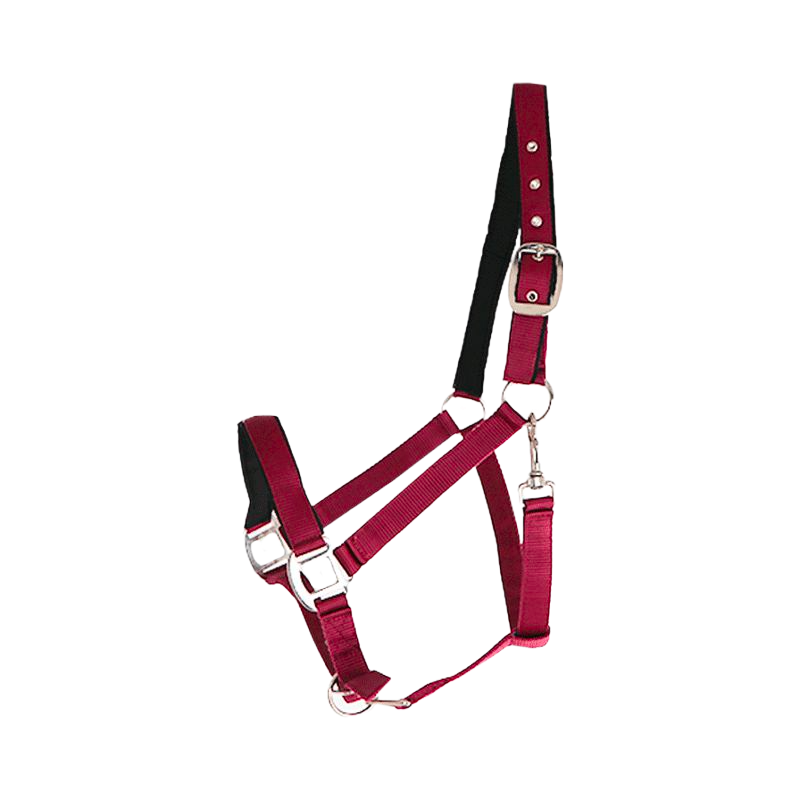 Canter - Burgundy lined nylon halter