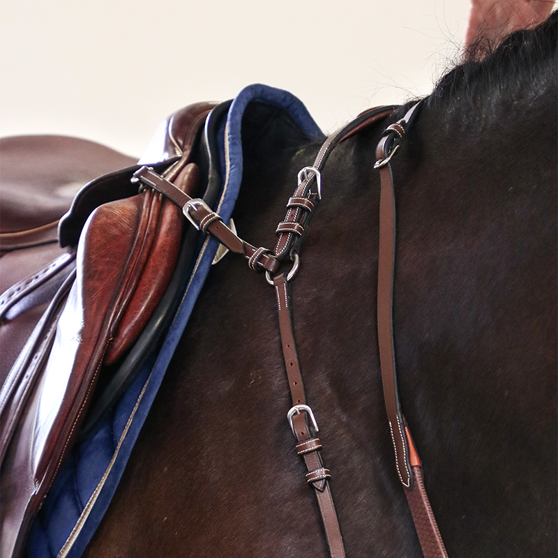 Jump'In - Collier de chasse 5 points + martingale One Noisette | - Ohlala