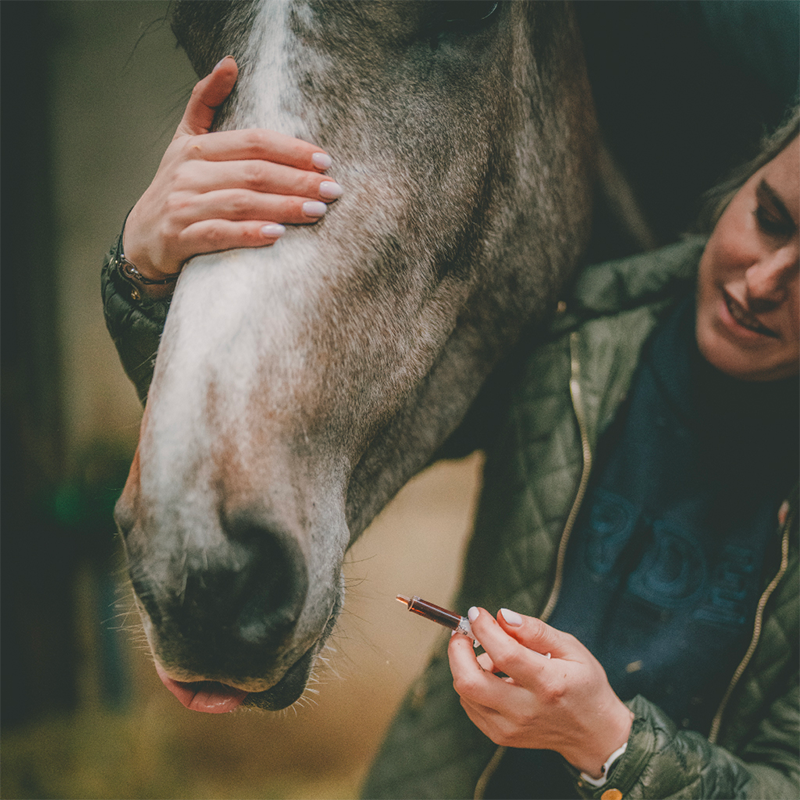 Cura Naturale - Complément alimentaire pour chevaux douleur ovarienne | - Ohlala