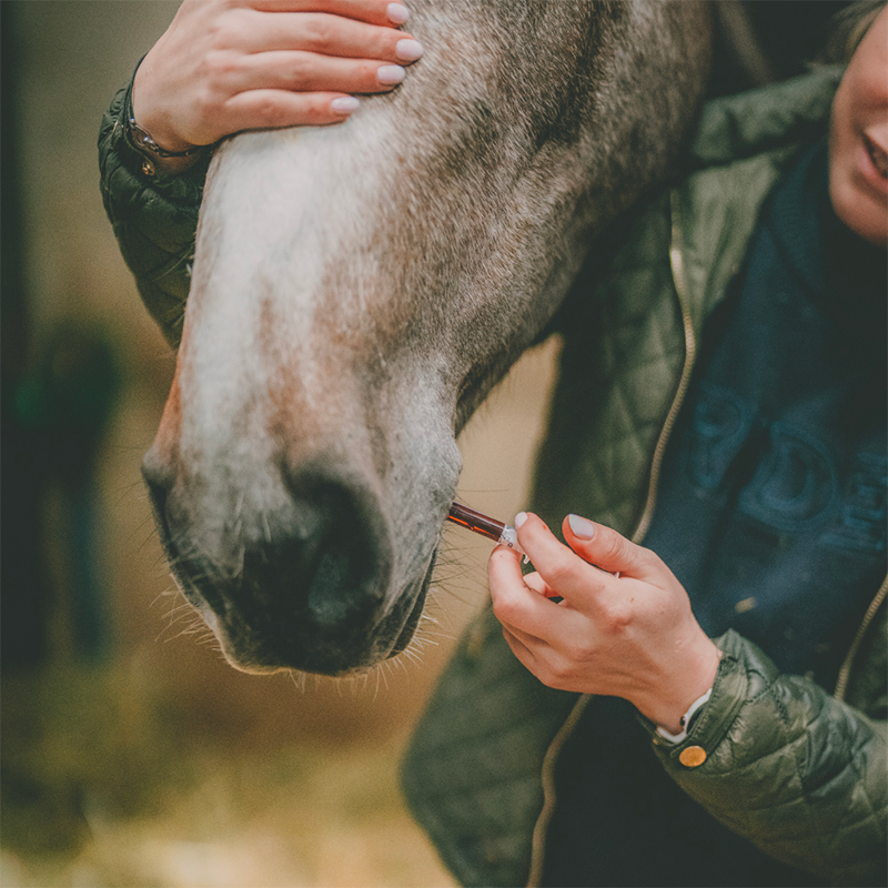 Cura Naturale - Complément alimentaire pour chevaux confort respiratoire | - Ohlala