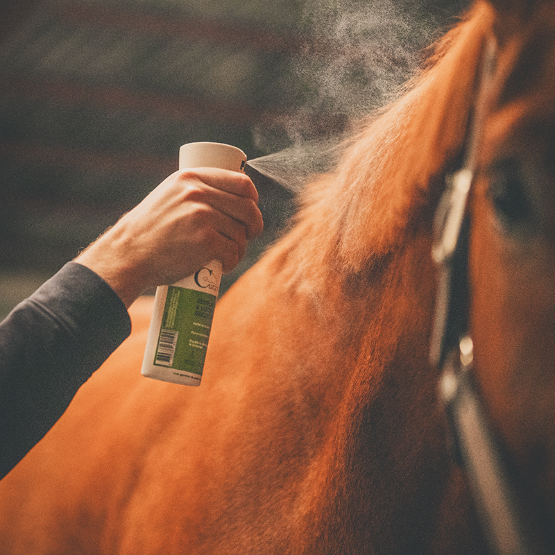 Cura Naturale - Démêlant et lustrant pour chevaux au monoï | - Ohlala